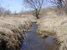 Traver Creek Sample Collection Site, US23/M14 Median, 10 April 2010.